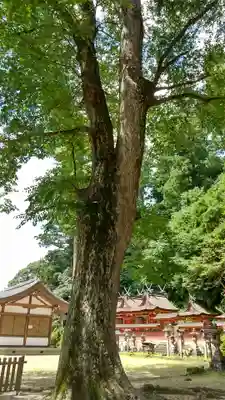 宇太水分神社（中社）(奈良県)