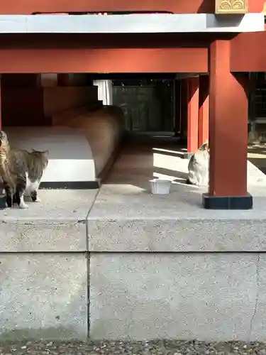 柏諏訪神社(千葉県)