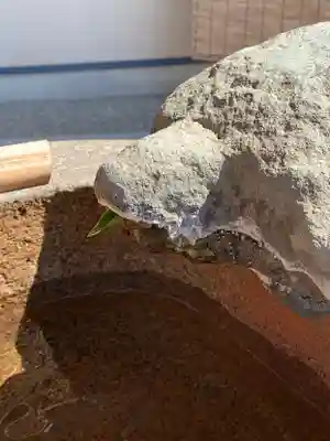 玄武神社の手水舎
