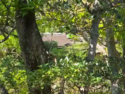 仁和寺(京都府)