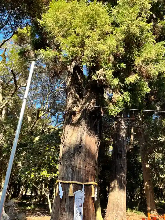 息栖神社(茨城県)