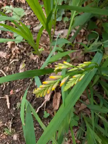 正一位三光稲荷大明神(神奈川県)