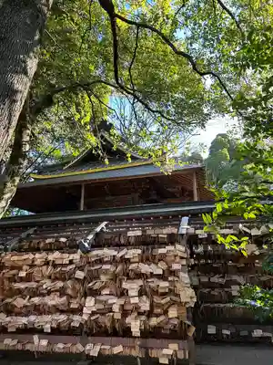 川越氷川神社(埼玉県)