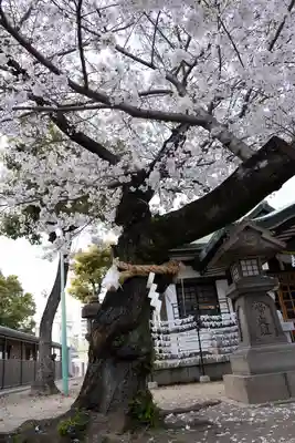 長柄八幡宮(大阪府)
