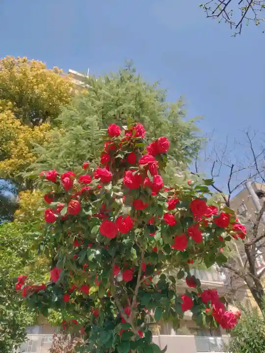 秋葉神社の{uncategorized: "未分類", other: "その他", undefined: "問題あり", building: "その他建物", grave: "お墓", sacred_gate: "鳥居", guardian: "狛犬", statue: "像", buddha: "仏像", history: "歴史", nature: "自然", garden: "庭園", animal: "動物", pagoda: "塔", temizu: "手水舎", mountain_gate: "山門・神門", sanctuary: "本殿・本堂", subordinate: "末社・摂社", art: "芸術", scenery: "景色", jizo: "地蔵", ema: "絵馬", goshuin: "御朱印", omikuji: "おみくじ", items: "授与品その他", amulet: "お守り", goshuincho: "御朱印帳", eats: "食事", festival: "お祭り", votive_dance: "神楽", shichigosan: "七五三参", wedding: "結婚式", experience: "体験その他", initially: "初詣", around: "周辺", anti_infection: "感染症対策"}
