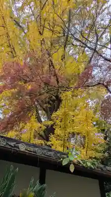 観音寺（山崎聖天）(京都府)