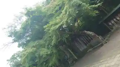 聖衆寺(三重県)