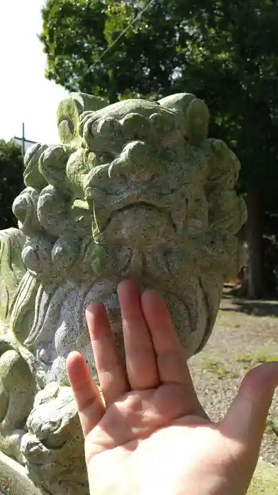 伊勢神明社の狛犬