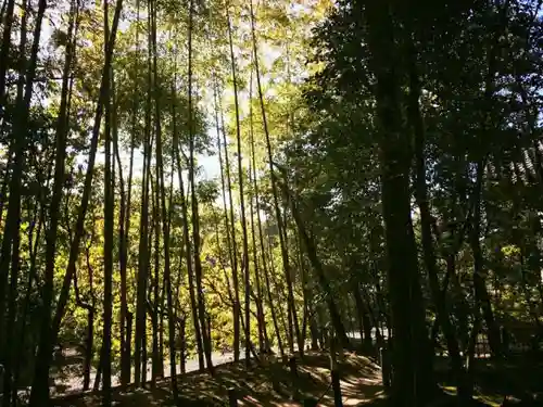 天授庵の建物その他