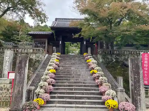 修禅寺の山門