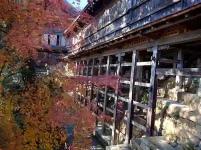 宝厳寺(滋賀県)