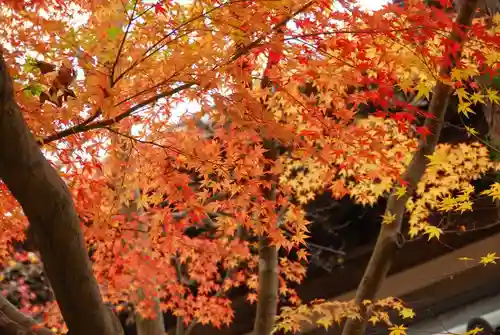 覚苑寺(山口県)