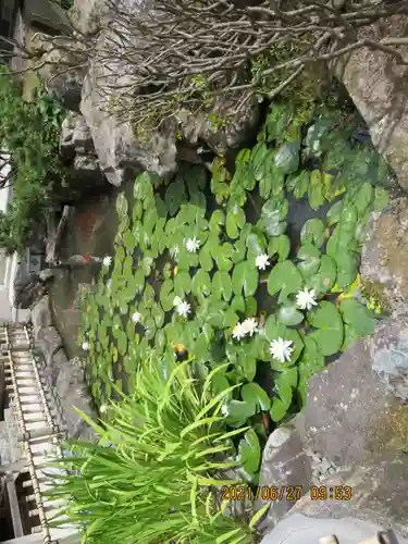 高屋敷稲荷神社(福島県)