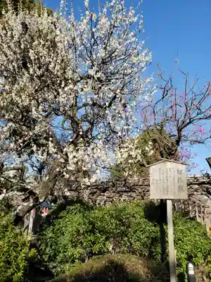 亀戸天神社(東京都)