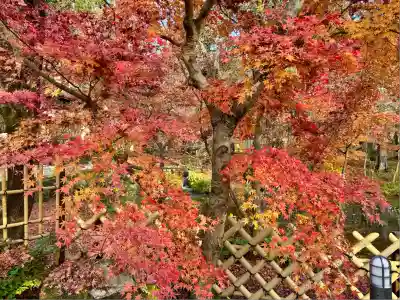 禅林寺(永観堂)(京都府)
