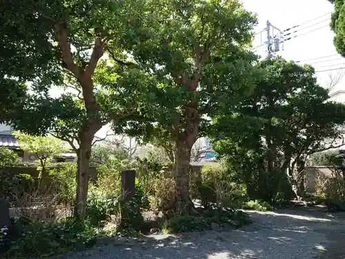 實相寺（実相寺）(神奈川県)