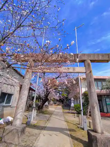 神明社（曽野町）の鳥居