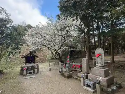長弓寺の{uncategorized: "未分類", other: "その他", undefined: "問題あり", building: "その他建物", grave: "お墓", sacred_gate: "鳥居", guardian: "狛犬", statue: "像", buddha: "仏像", history: "歴史", nature: "自然", garden: "庭園", animal: "動物", pagoda: "塔", temizu: "手水舎", mountain_gate: "山門・神門", sanctuary: "本殿・本堂", subordinate: "末社・摂社", art: "芸術", scenery: "景色", jizo: "地蔵", ema: "絵馬", goshuin: "御朱印", omikuji: "おみくじ", items: "授与品その他", amulet: "お守り", goshuincho: "御朱印帳", eats: "食事", festival: "お祭り", votive_dance: "神楽", shichigosan: "七五三参", wedding: "結婚式", experience: "体験その他", initially: "初詣", around: "周辺", anti_infection: "感染症対策"}