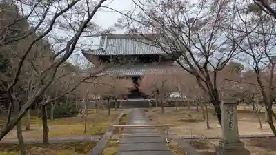 興聖寺(京都府)