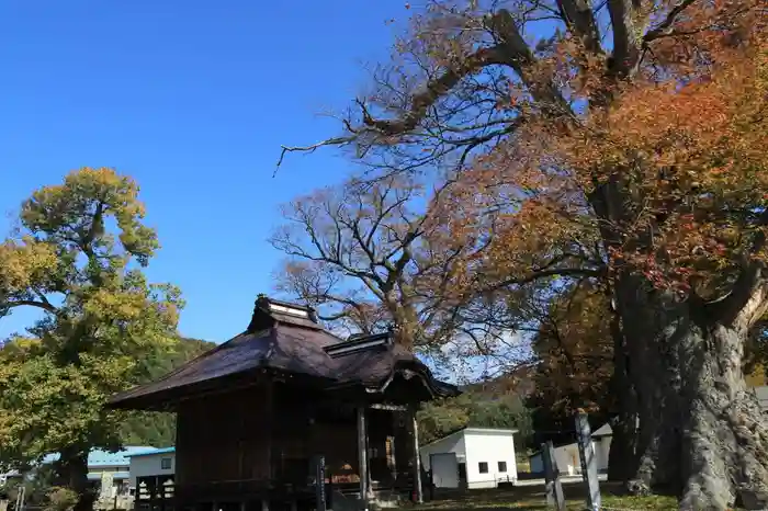 東光寺の建物その他