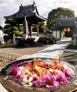 真言宗 善通寺派 薬王寺(香川県)(2024年12月01日(日) 12時18分49秒投稿)