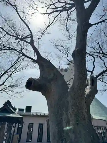 阿邪訶根神社の御朱印