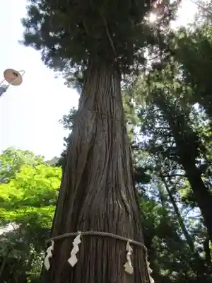 河口浅間神社のその他建物