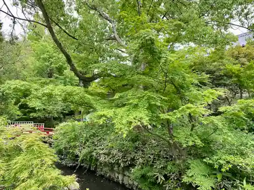 白旗神社の自然