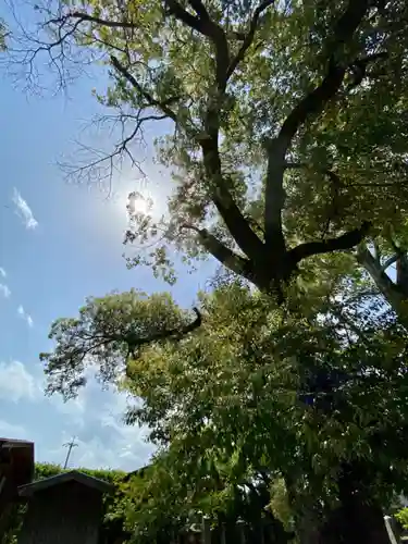 城南宮(京都府)