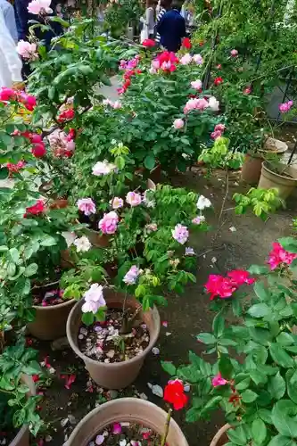 おふさ観音（観音寺）の庭園