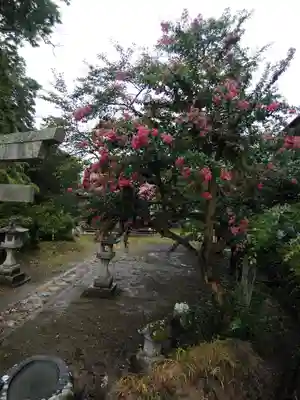 瀧野神社(福島県)