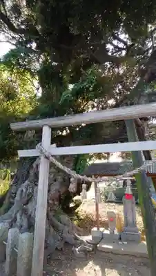 水神社の鳥居