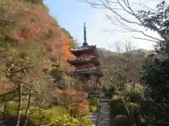 三室戸寺(京都府)