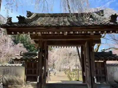 清雲寺(埼玉県)