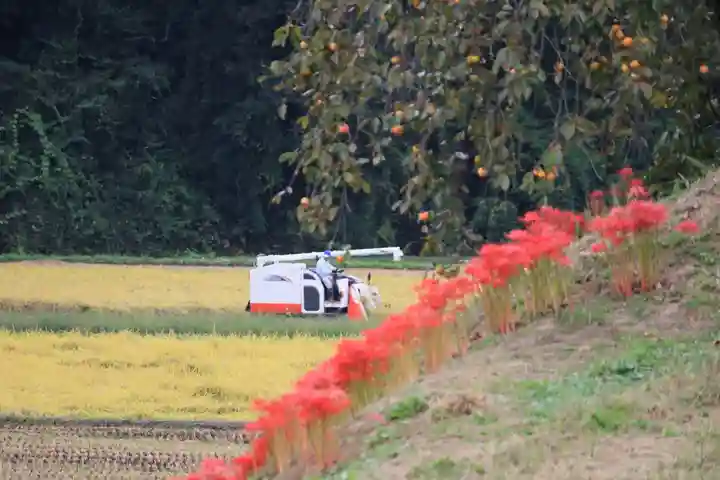 鹿島大神宮の周辺