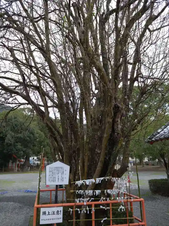 八代神社(熊本県)