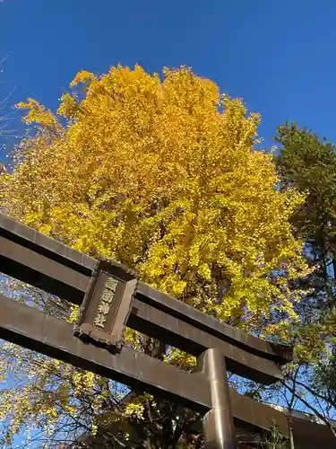 諏訪神社(東京都)
