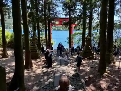箱根神社の{uncategorized: "未分類", other: "その他", undefined: "問題あり", building: "その他建物", grave: "お墓", sacred_gate: "鳥居", guardian: "狛犬", statue: "像", buddha: "仏像", history: "歴史", nature: "自然", garden: "庭園", animal: "動物", pagoda: "塔", temizu: "手水舎", mountain_gate: "山門・神門", sanctuary: "本殿・本堂", subordinate: "末社・摂社", art: "芸術", scenery: "景色", jizo: "地蔵", ema: "絵馬", goshuin: "御朱印", omikuji: "おみくじ", items: "授与品その他", amulet: "お守り", goshuincho: "御朱印帳", eats: "食事", festival: "お祭り", votive_dance: "神楽", shichigosan: "七五三参", wedding: "結婚式", experience: "体験その他", initially: "初詣", around: "周辺", anti_infection: "感染症対策"}