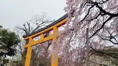 平野神社の鳥居