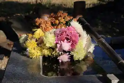 高司神社〜むすびの神の鎮まる社〜の手水舎