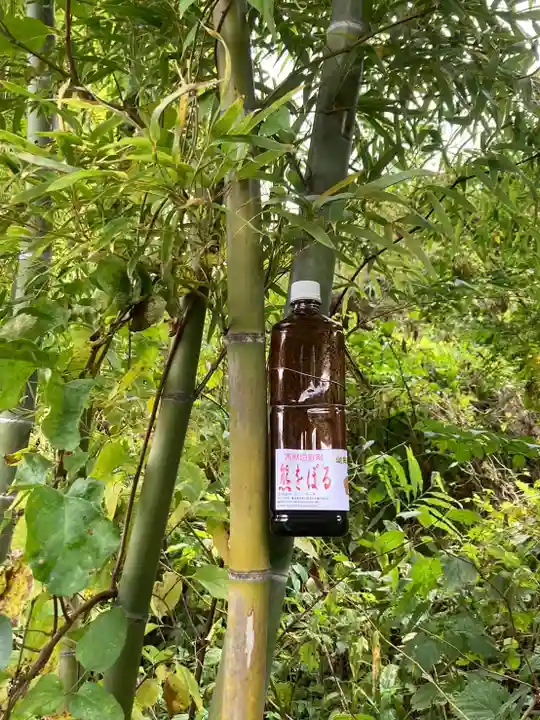 鹿角八坂神社の御朱印