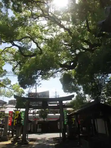 新熊野神社の鳥居