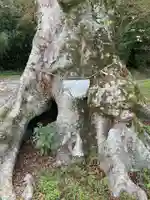 御霊神社の自然
