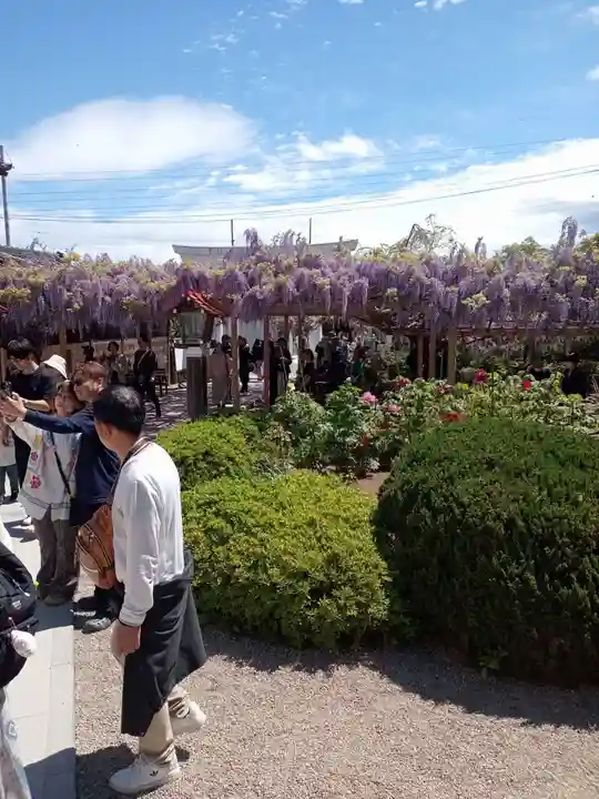 金蛇水神社(宮城県)