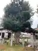 香取神社(旭町香取神社・大鳥神社)(千葉県)