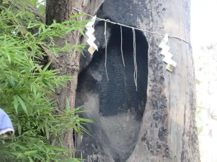 東神奈川熊野神社(神奈川県)