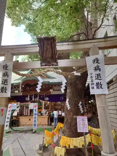 少彦名神社の鳥居