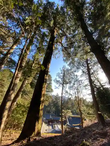 日光東照宮の自然