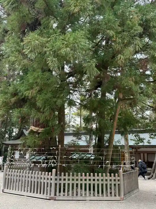 大神神社の{uncategorized: "未分類", other: "その他", undefined: "問題あり", building: "その他建物", grave: "お墓", sacred_gate: "鳥居", guardian: "狛犬", statue: "像", buddha: "仏像", history: "歴史", nature: "自然", garden: "庭園", animal: "動物", pagoda: "塔", temizu: "手水舎", mountain_gate: "山門・神門", sanctuary: "本殿・本堂", subordinate: "末社・摂社", art: "芸術", scenery: "景色", jizo: "地蔵", ema: "絵馬", goshuin: "御朱印", omikuji: "おみくじ", items: "授与品その他", amulet: "お守り", goshuincho: "御朱印帳", eats: "食事", festival: "お祭り", votive_dance: "神楽", shichigosan: "七五三参", wedding: "結婚式", experience: "体験その他", initially: "初詣", around: "周辺", anti_infection: "感染症対策"}