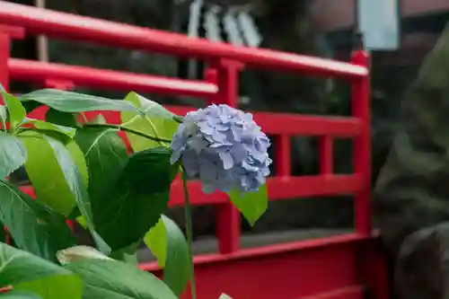 葛西神社(東京都)